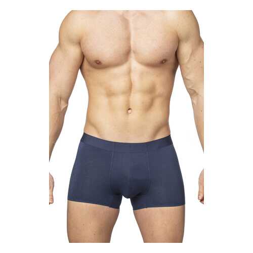Трусы мужские SERGIO DALLINI SD2901 синие M в Глория Джинс